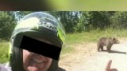 Detaliul cutremurător descoperit în telefonul turistului ucis de o ursoaică pe Transfăgărășan. Greșeala care i-a fost fatală