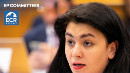 Europarlamentar AUR, recunoaștere în Parlamentul European.