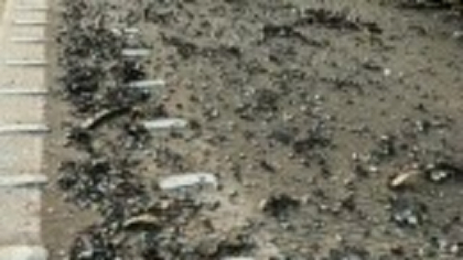 Peste 300 de mașini au avut cauciucurile deteriorate după ce 750 kg de resturi metalice au căzut dintr-un camion în Australia