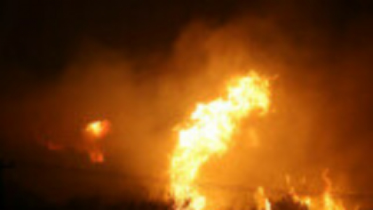 Incendiile de vegetație fac prăpăd în Grecia. A fost decretată stare de urgență în zonele afectate. „Focul este uriaș”. FOTO