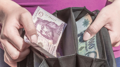 Efectul deficitelor bugetare uriaşe: în Polonia nici căţeii din apartament sau din curte nu scapă de creşterea taxelor. În schimb, Ungaria, unde guvernul se fereşte să majoreze impozitele din motive electorale, a învăţat să exceleze la colectarea taxelor