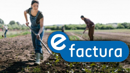 e-Factura 2025. Obligația utilizării sistemului se amână până la 1 octombrie pentru micii producători agricoli