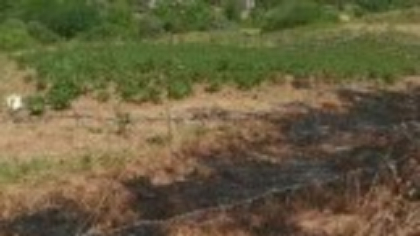 Un bărbat din Cluj a murit după ce a fost prins de flăcări în timp ce incendia vegetație uscată