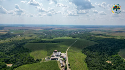 Locul din țara noastră unde găsești peisaje ca în Toscana. E o destinație ideală pentru un weekend de vis în luna octombrie