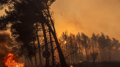 Incendiu de vegetație în apropiere de Marsilia. Un aeroport a fost închis, iar populația a fost sfătuită să se adăpostească