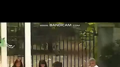 Nereguli la Mireasa, înainte de finală! Cuplul preferat riscă să fie descalificat din cauza încălcării regulamentului