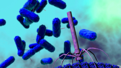 Cazurile de „bacterii de coșmar” sunt în creștere în Statele Unite