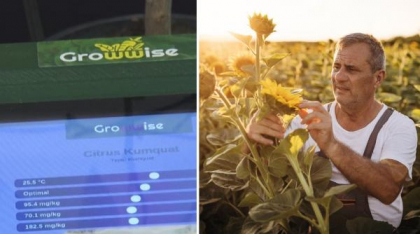 Viitorul agriculturii începe în sol. 3 clujeni au creat GrowWise, un sistem complex care monitorizează sănătatea solului şi a plantelor
