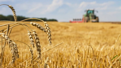 În plină austeritate se înființează cu 3,5 milioane de euro o nouă agenție din subordinea Ministerului Agriculturii. Care va fi valoarea salariilor