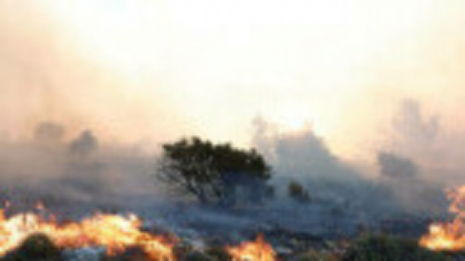 Epidemia invizibilă: Efectele nebănuite ale fumului de la incendii de vegetație