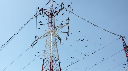 Olandezii raționalizează electricitatea: infrastructura energetică a Europei dă semne de blocaj
