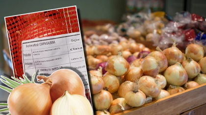 De unde provine, de fapt, ceapa „din România” vândută la Kaufland. Val de ironii după ce Protecția Consumatorului a atras atenția asupra originii acesteia: „După ce trece granița, normal, are cetățenie română”