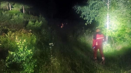 Trei tineri salvați după ce un urs le dădea târcoale, în Munții Rodnei