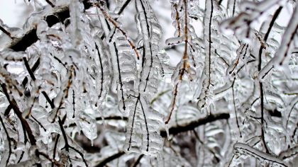 Un val de aer polar a pus stăpânire pe România. Meteorologii anunță ninsori, vânt și furtuni