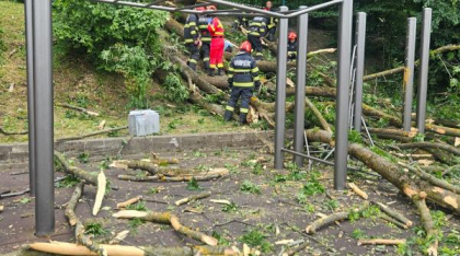 Incident grav pe în Brașov: Un copac a căzut peste două persoane