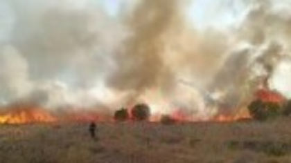 DSU: 85 de localităţi din 16 judeţe au fost afectate de vremea caniculară. Mai multe incendii au fost stinse de pompieri