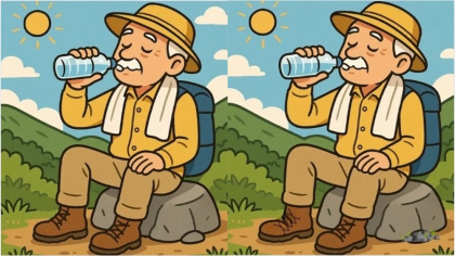 Provocarea dificilă! Câte diferențe sunt între cele două imagini