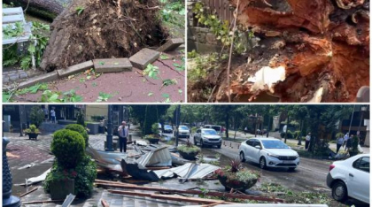 „S-a văzut o tornadă cum a venit și a ras efectiv toți copacii”. Mărturii din Sinaia despre furtuna care a devastat tot în calea ei