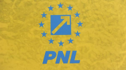 Se pregătește &amp;quot;revoluția&amp;quot; în PNL. Partidul își reduce conducerea la jumătate
