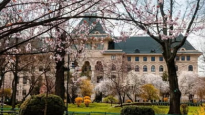 Război politic pentru Primăria București: Șansele primului partid din sondaje. „Bucureștiul rămâne un oraș care votează dreapta”