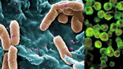 Epidemie de holeră în Nigeria: 58 de morți și peste 250 de persoane infectate