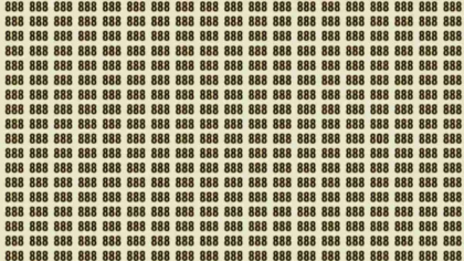 Testul pe care îl pică 9 din 10 persoane. Doar cei cu un IQ de geniu găsesc numărul 808, în doar 8 secunde