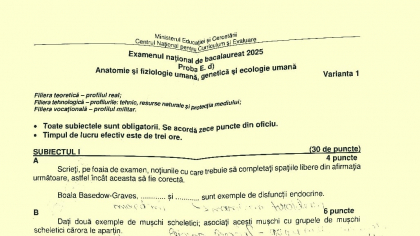 Subiecte Biologie – Anatomie umană BAC 2025