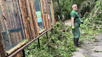 Grădina Zoo din București, închisă temporar pentru remedierea pagubelor provocate de furtună