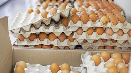 Marele jaf al ouălor: 280.000 de ouă au dispărut fără urmă, urmate de un mesaj bizar de răscumpărare