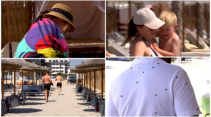 Invazie de buburuze pe litoral. Ce spun specialiștii
