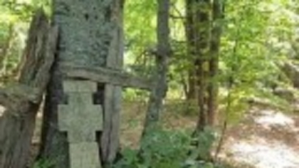 Ce au descoperit localnicii într-o pădure din Buzău. „Cine le-o fi ridicat acolo”