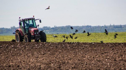 Performanța în agricultură: 44% dintre fermierii români au peste 65 de ani, 90% din ferme au sub 5 hectare