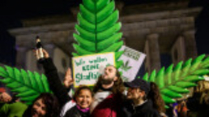 La un an de la legalizarea canabisului, o țară europeană aprobă aproape 300 de cluburi pentru consum
