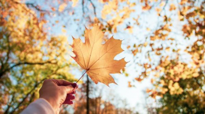 Prognoza meteo actualizată: Cum va fi vremea până la sfârșitul lunii septembrie