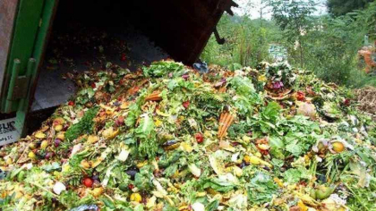 O treime din producția mondială de alimente ajunge la gunoi
