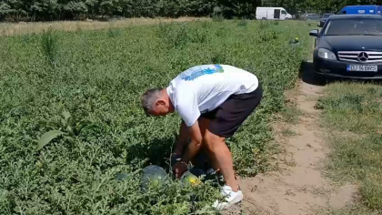 Gică Craioveanu a mers la bostănărie. Noul președinte de la CSM Slatina a făcut cunoștință cu „Sahara Olteniei”