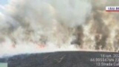Incendiu de proporții într-o comună din județul Dolj. Zeci de hectare au fost complet distruse. Care a fost cauza
