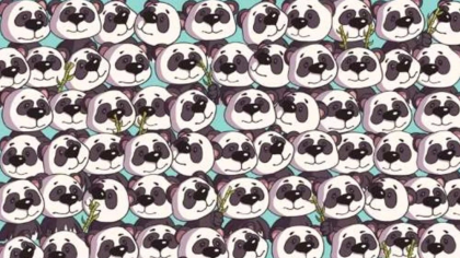 Găsești câinele ascuns printre urșii panda? Ai un IQ de peste 140 dacă reușești