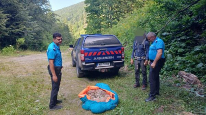 Operațiune inedită pe munte. Un cățel care nu mai putea să meargă a fost salvat de jandarmi: „Fiecare viață contează”