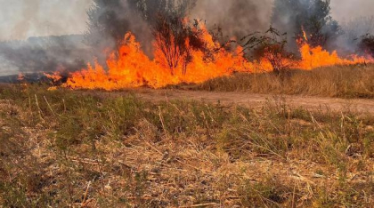 Incendiu de vegetație pe 100 de hectare în Maramureș