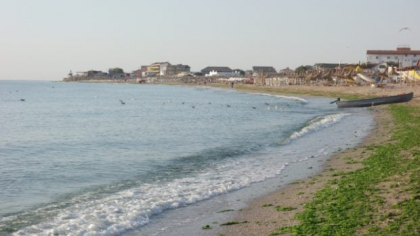Invazie de alge pe litoralul românesc. Plajele din Mamaia, aproape goale din cauza mirosului