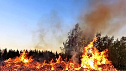 Căldura extremă a declanșat incendii în toată România