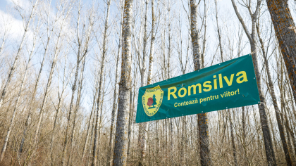 Gaură în bugetul Romsilva: Peste 140 de cabane din întreaga țară funcționează pe pierdere de mai mulți ani