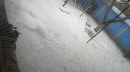 Drumuri și curți acoperite de grindină, dupa codul roșu de vijelii. Temperaturile au scăzut cu 18 grade în doar câteva minute