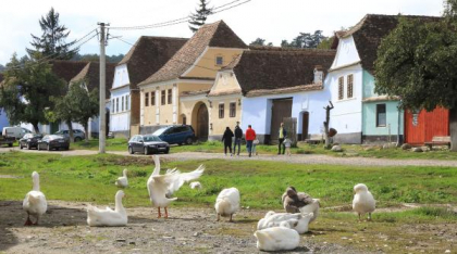 Satul unde s-au îmbolnăvit brusc zeci de oameni. Ministru: „Pe toţi îi ştie primarul şi ştie toată comuna că n-aveau nimic acum o lună”