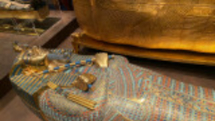 Ciuperca care a ucis arheologii lui Tutankhamon devine arma împotriva cancerului. Otrava, făcută medicament