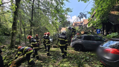 Pagube și copaci prăbușiți: 34 de localități din 17 județe și Capitala, afectate de furtunile de miercuri
