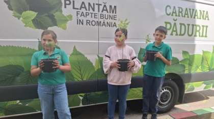 Săptămâna Solidarității – maratonul de fapte bune –  peste 1500 de beneficiari, 54 de voluntari și 28 de acțiuni