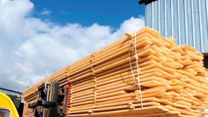Afacerile fabricii de prelucrare a lemnului Kastamonu din Reghin au crescut cu 12,5% în 2024, ajungând la 738,9 mil. lei