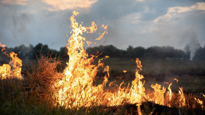 Un incendiu de vegetație a izbucnit lângă un cămin de bătrâni din Constanța. A fost activat Planul Roșu